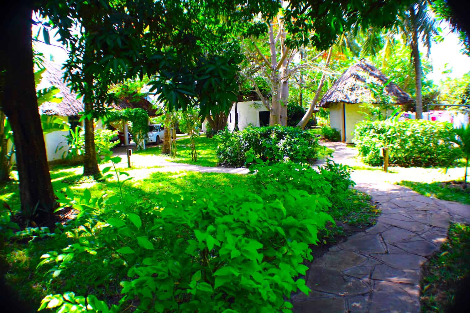Leafy green gardens at Upani in Diani